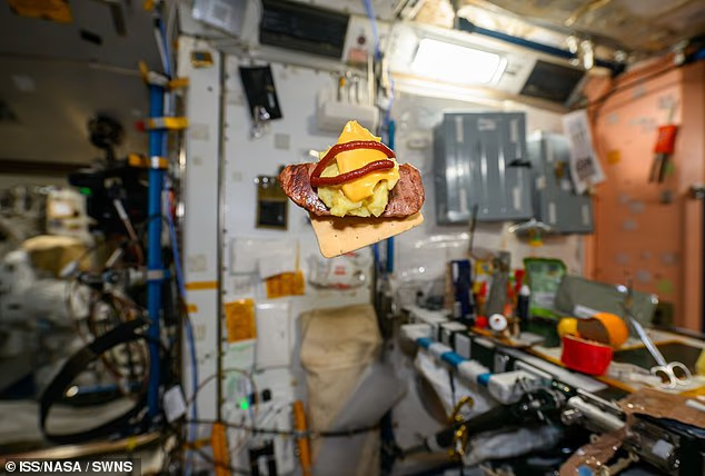 شوخی کاربران فضای مجازی با سوشی فضانوردان