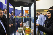 پایداری دانش‌بنیان‌ها؛ ضرورتی راهبردی برای اقتصاد کشور