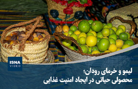 ویدیو/ لیمو و خرمای رودان؛ محصولی حیاتی در ایجاد امنیت غذایی