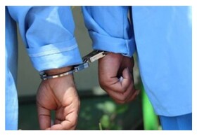 دستگیری قاچاقچیان قطع درختان جنگل شهید ظهرابی زرین‌دشت فارس