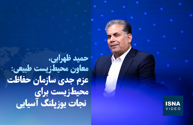 ویدیو/ عزم جدی سازمان حفاظت محیطزیست برای نجات یوزپلنگ آسیایی ویدیو/ عزم جدی سازمان حفاظت محیطزیست برای نجات یوزپلنگ آسیایی