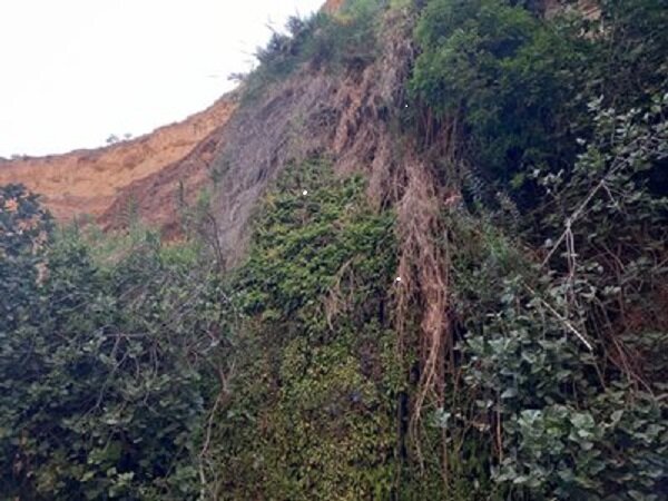 روستای عباس‌آباد، نگین پنهان گردشگری در دل دره‌شهر