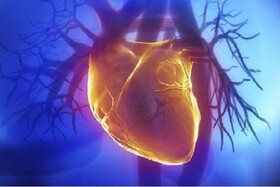 RNAهای حلقوی؛ ابزار تازه برای پیش‌بینی بیماری‌های قلبی