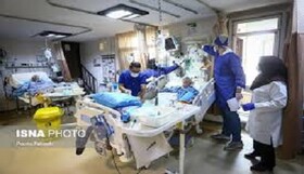درمان اتباع غیرمجاز به اقتصاد کشور لطمه زیادی وارد میکند
