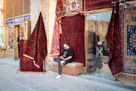در جهان بیش از ۶۰۰ رشته صنایع‌دستی ثبت شده که ۳۰۰ رشته آن متعلق به  کشور ایران و ۱۹۹ رشته در استان اصفهان در حال فعالیت است.