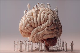 ترمیم آسیب مغزی ناشی از سکته مغزی توسط سلول‌های بنیادی
