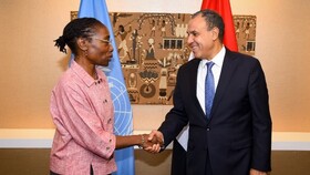 تلاش‌های مصر برای کاهش تنش در پرونده هسته‌ای ایران