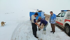 امدادرسانی به عشایر گرفتار در مناطق برفی کلیبر