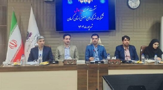 راه‌اندازی شهرک‌های صنعتی تخصصی در کرمان/ تمرکز بر صنایع کوچک و متوسط