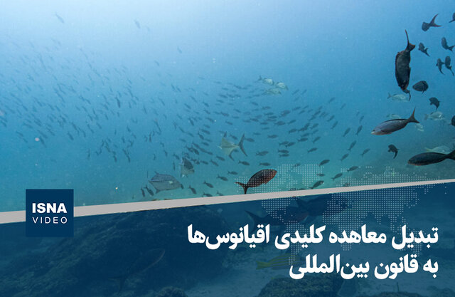 ویدیو/ تبدیل معاهده کلیدی اقیانوس‌ها به قانون بین‌المللی