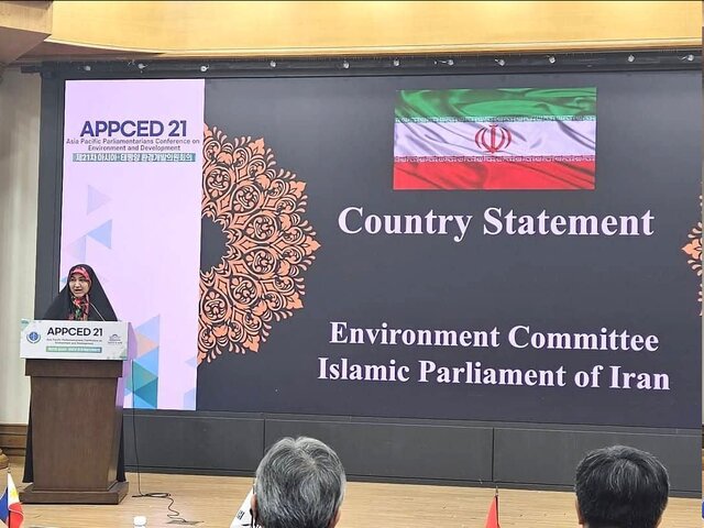 رفیعی: ایران با وجود تحریم‌های گسترده، اقدامات محیط‌زیستی مهمی را انجام داده است
