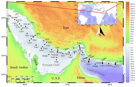 فسفر در رسوبات خلیج فارس و دریای عمان؛ تهدید خاموش برای اکوسیستم و زندگی انسانها