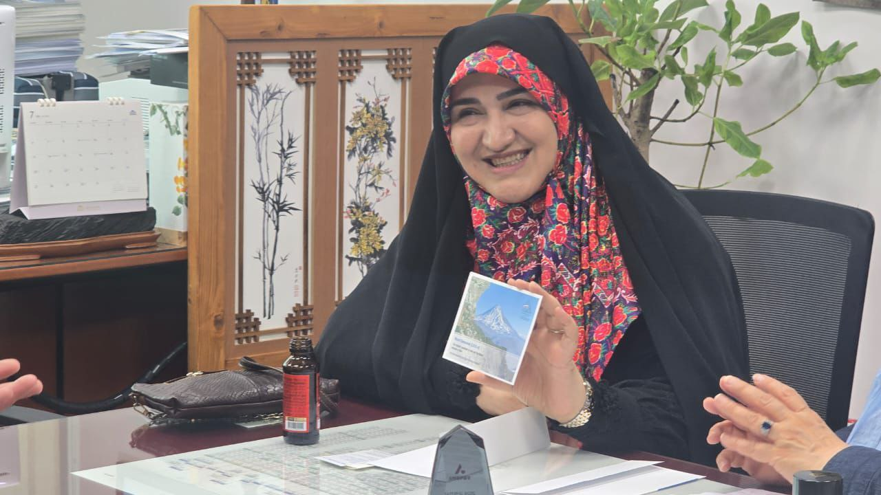 انتقاد رفیعی از عملکرد کره جنوبی در شورای امنیت سازمان ملل/ نماینده مجلس ملی کره: تحت تاثیر فشارهای اسرائیل و آمریکا بودیم