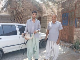 تحویل یک قطعه فلامینگو به محیط زیست شهرستان ایرانشهر