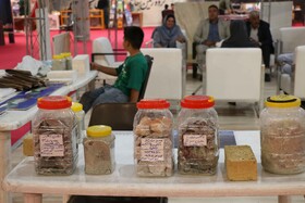 برگزاری نخستین نمایشگاه تخصصی معدن و صنایع معدنی کشور در همدان