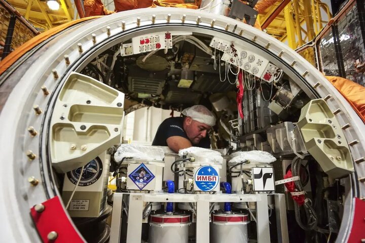 موشها و مگسهای روسیه به زمین بازگشتند!