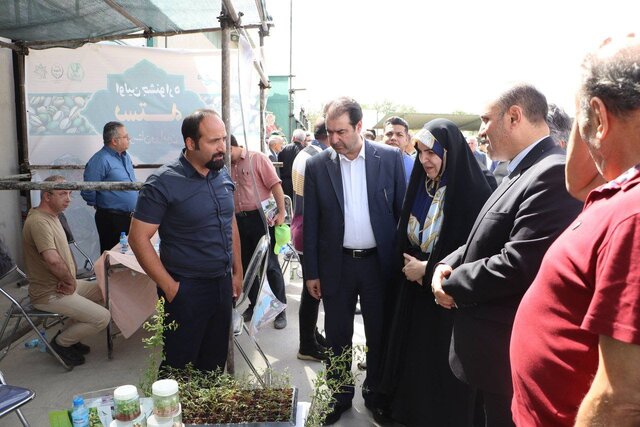 ورامین ظرفیت ارتقای تولید و صادرات پسته را دارد