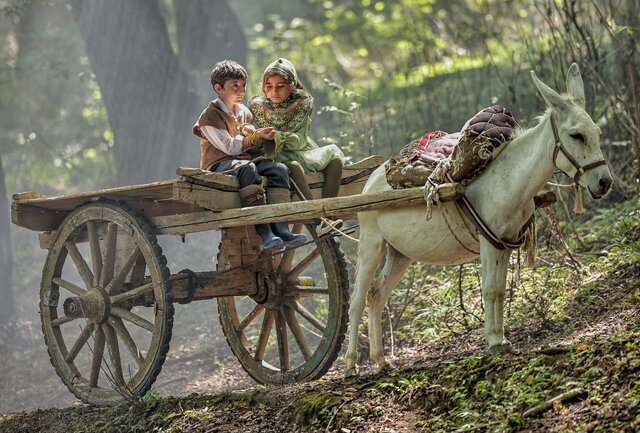چرا «روماک» از جشنواره فیلم کودک و نوجوان جا ماند؟