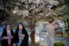 غبارروبی مزار شهدا