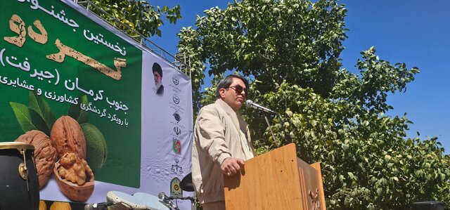 جشنواره گردو بهانهای برای ارتقاء نشاط و گردشگری/ رتبه دوم کشور در تولید محصول