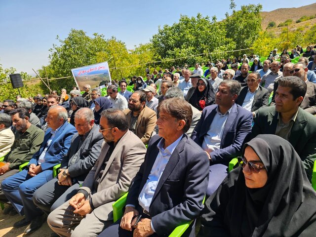 کرمان رتبه دوم تولید گردو در کشور/جشنواره گردو بهانه‌ای برای ارتقا گردشگری
