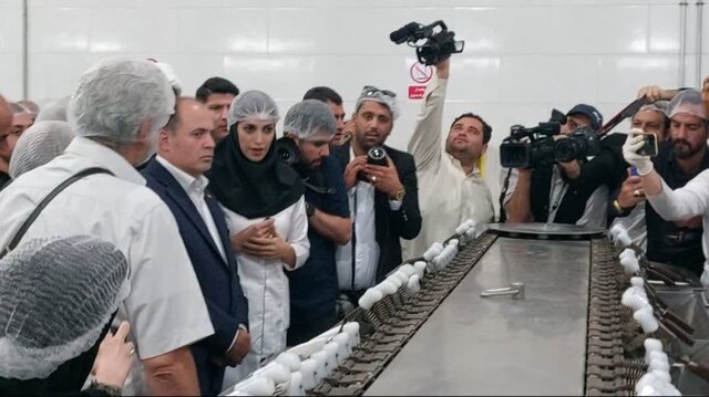 افتتاح طرح توسعه واحد تولید بستنی در ملایر