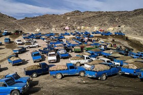 واکنش مخاطبین ایسنا به یک خبر؛ دستگیری اعضای بزرگترین باند قاچاق سوخت