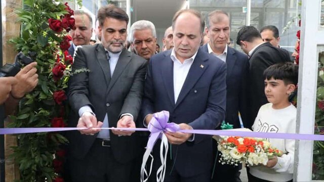 مساحت گلخانه‌های کشور به ۲۶ هزار هکتار رسیده است