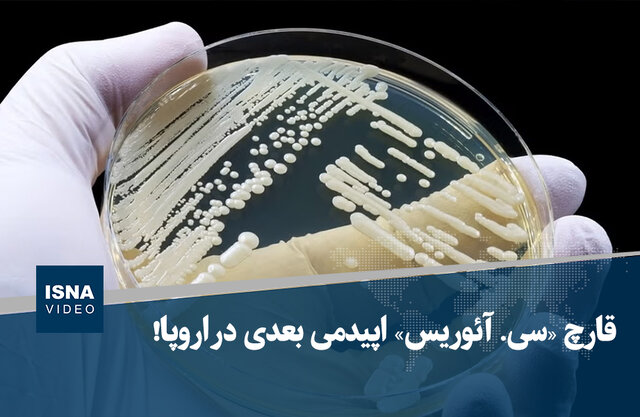 ویدیو/ قارچ «سی. آئوریس» اپیدمی بعدی در اروپا!