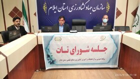 احداث باغات دیم در ایلام، ارزش افزوده اقتصادی بیشتری دارد