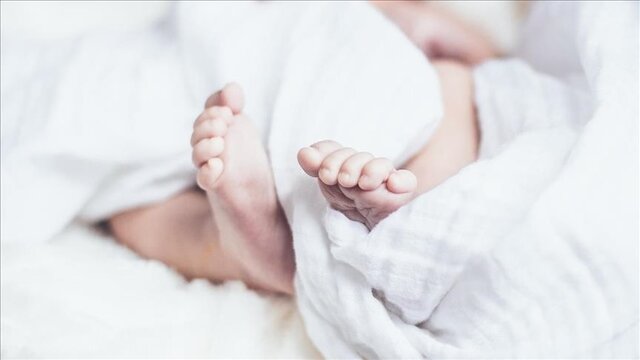 نرخ پایین زاد و ولد در انگلیس و احتمال تعطیلی صدها مدرسه تا ۲۰۲۹