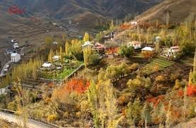 کلم، روستایی با طعم شکوفه و خاطره در بدره