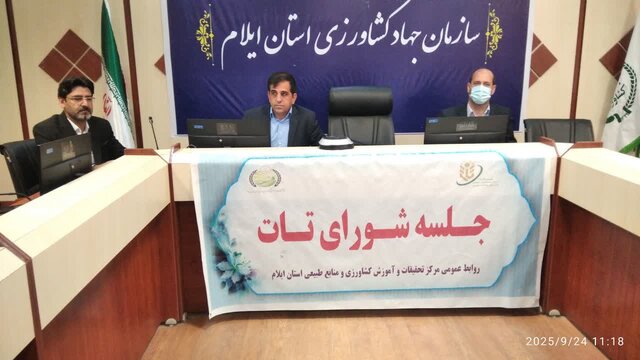 احداث باغات دیم در ایلام، ارزش افزوده اقتصادی بیشتری دارد