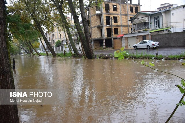 بارش دیروز و دیشب ایلام، امیدی تازه برای کشاورزان و مردم