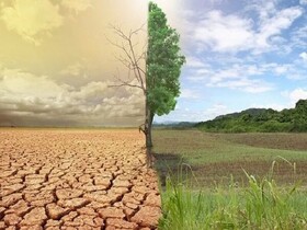 تغییر اقلیم باید به محتوای مدرسه و دانشگاه وارد شود