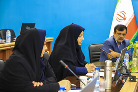 نشست تخصصی «نقش رسانه در تبیین دستاوردهای دفاع مقدس»-کرمان