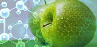 آموزش کاربرد فناوریهای نوین در نگهداری محصولات کشاورزی؛ از مایکروویو تا پلاسما سرد