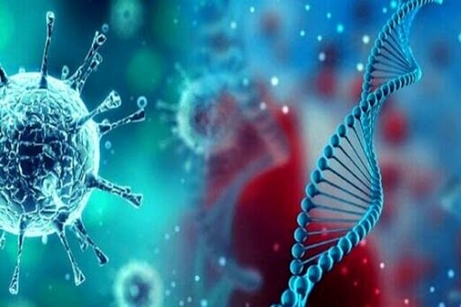 یک متخصص تغذیه: مصرف میزان زیاد پروتئین در بدن باعث افزایش توده عضلانی نمیشود