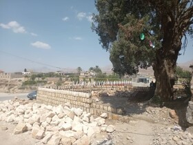 اجرای طرح حفاظتی از درخت تاریخی سرو مسجد کهنه خفر