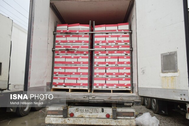 آغاز رسمی صادرات کیوی از مرز آستارا از امروز