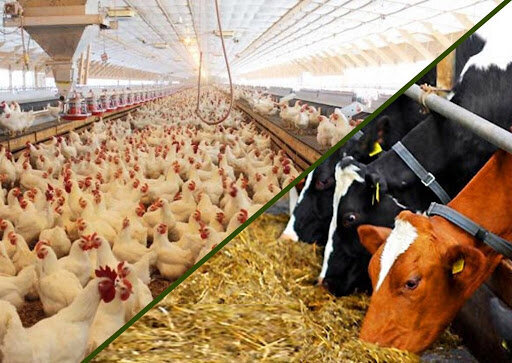 اخبار ۸ مهر مجلس؛ تصمیماتی درباره عرضه مکمل‌های ورزشی