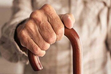 پاسخ به نیازهای سالمندان، نیازمند تقسیم کار ملی است