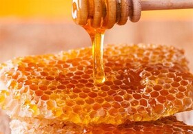 عسل خراسان جنوبی در مسیر برنامه‌ریزی هدفمند و صادراتی