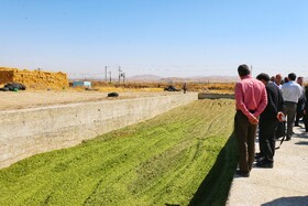 تور رسانه ای جهاد کشاورزی از زنجیره کامل تولید لبنیات در همدان