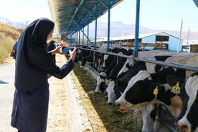 تور رسانه ای جهاد کشاورزی از زنجیره کامل تولید لبنیات در همدان