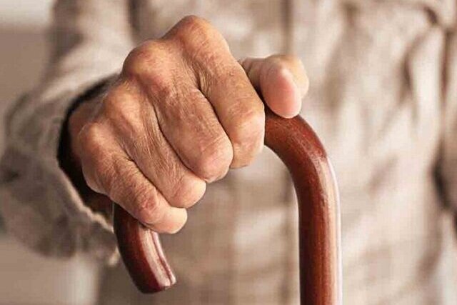 پاسخ به نیازهای سالمندان، نیازمند تقسیم کار ملی است