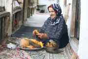 خدمات بهزیستی مازندران به بیش از ۱۴ هزار سالمند