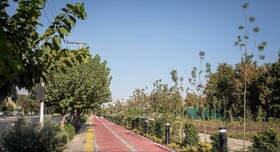 باغ‌راه حضرت زهرا (س) محل برگزاری تور دوچرخه‌سواری می‌شود