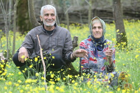 توجه به سالمندان، وظیفه انسانی و اجتماعی همه دستگاههاست