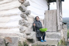 آمارهای جدید از سالمندی؛ ایران از مرز ۱۴ درصد جمعیت سالمند عبور کرد/ وارد دوره سالمندی شدیم